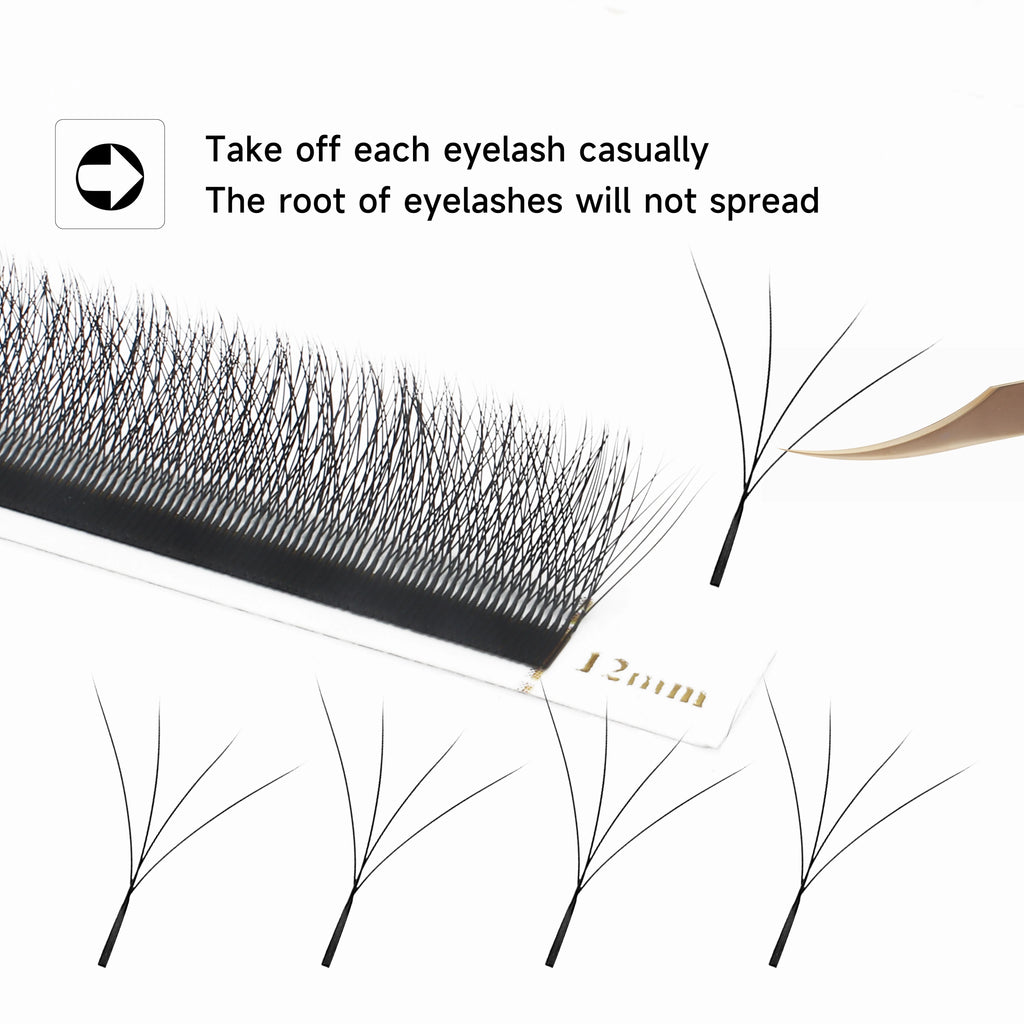 Bold Bloom Automatic Lash Set