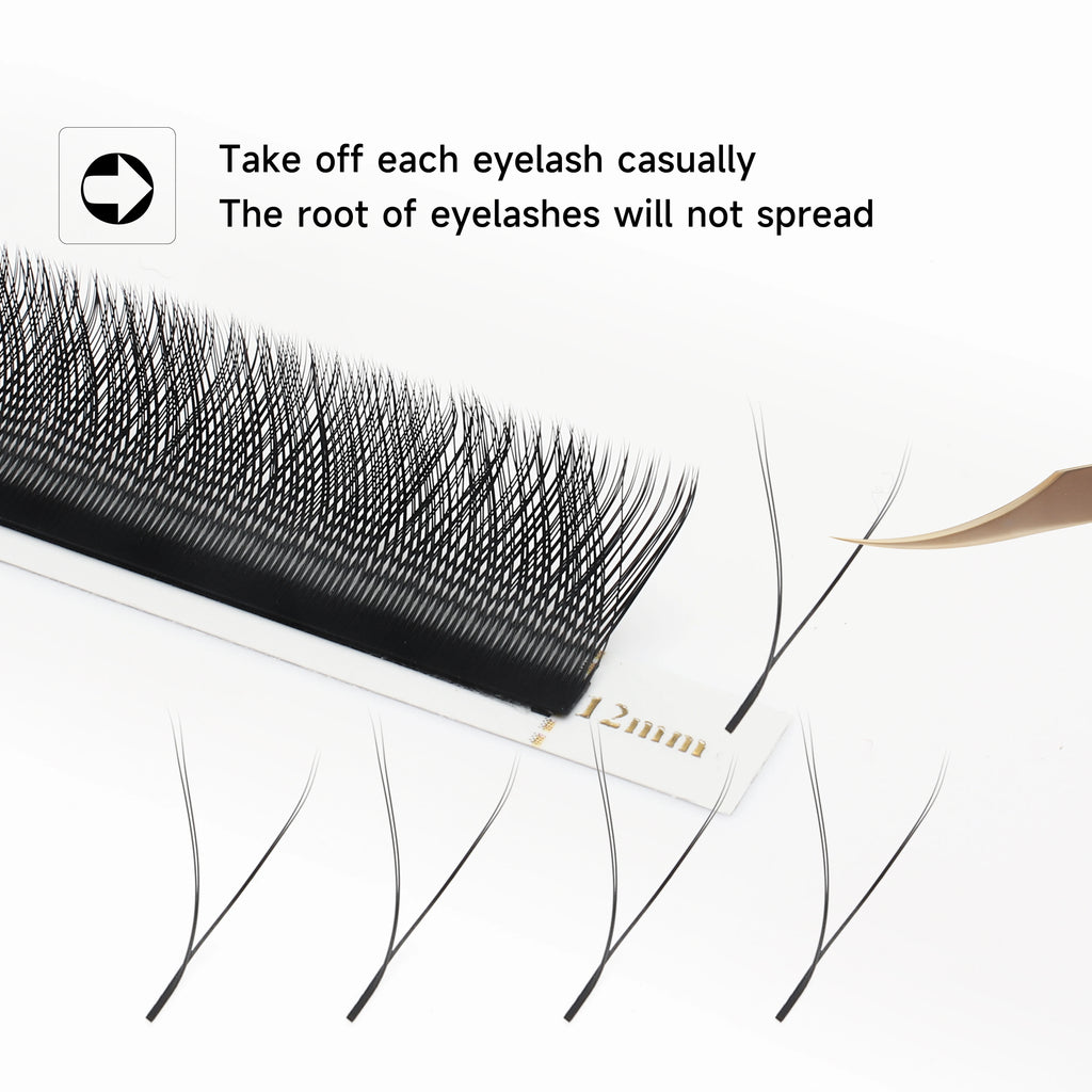 Bold Bloom Automatic Lash Set