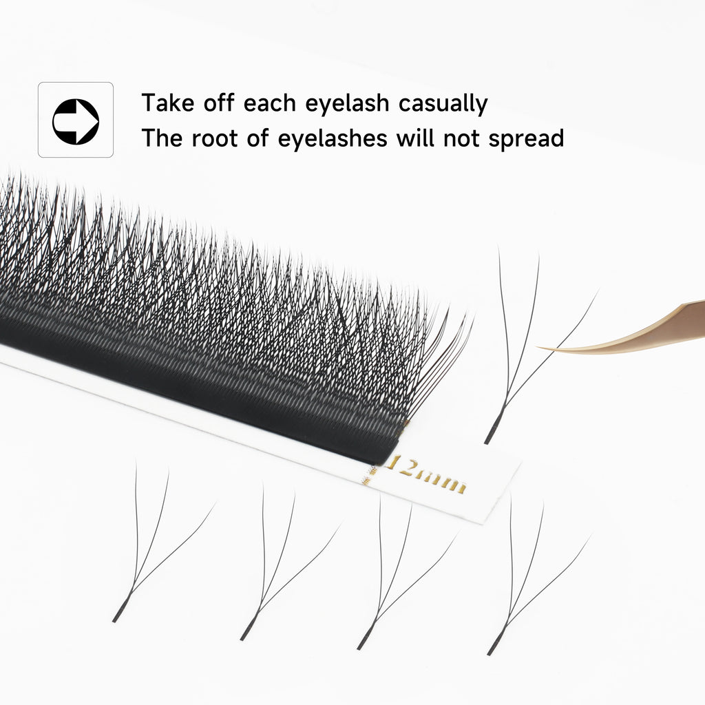 Bold Bloom Automatic Lash Set