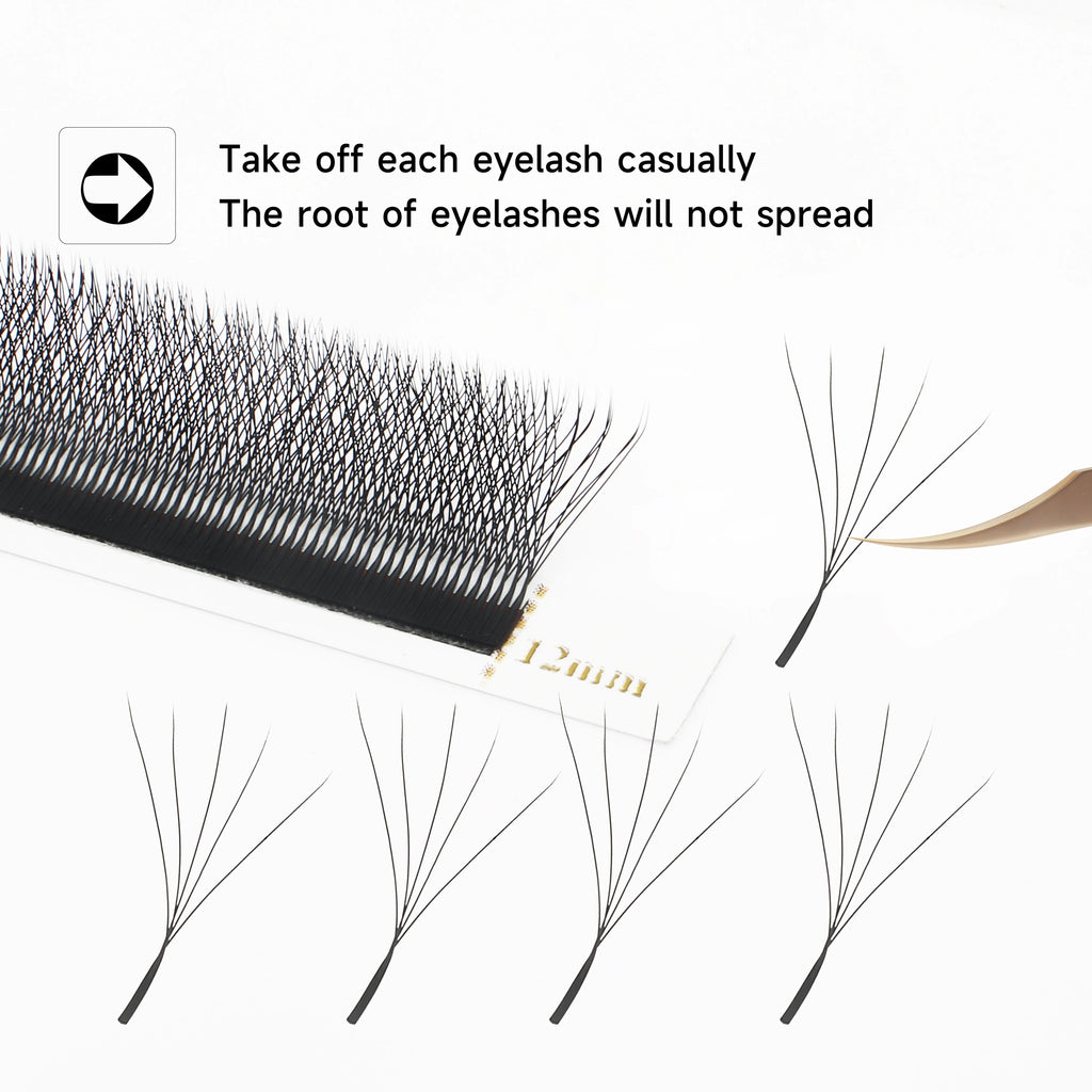 Bold Bloom Automatic Lash Set